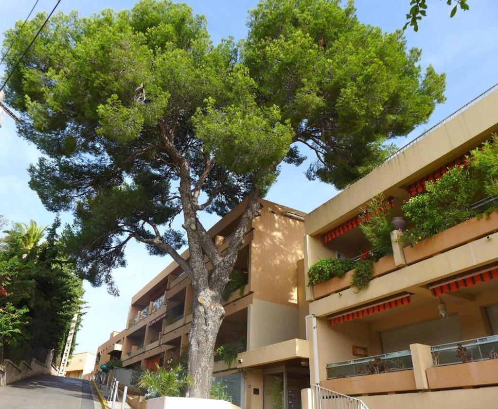 Studio Bandol Centre 2 Etoiles Ideal Emplacement Eksteriør bilde